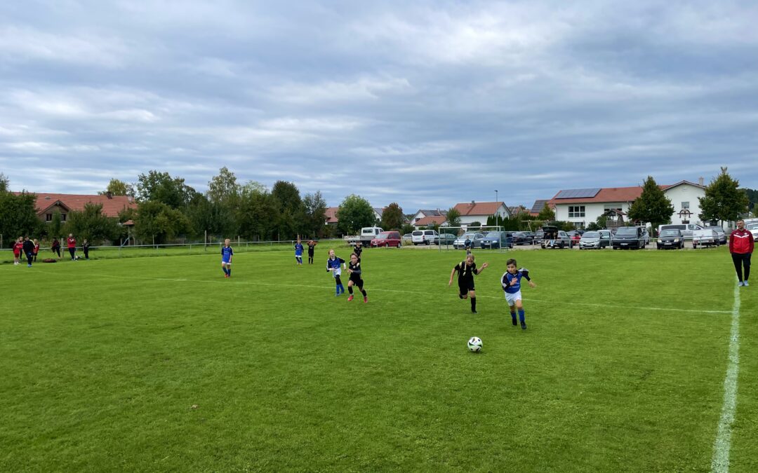 Testspiel Freitag bei unserer E-Jugend